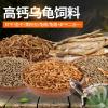 龟粮巴西龟乌龟饲料干虾半水龟粮钙幼龟开口粮鳄龟粮龟食补高_33 默认尺寸 高蛋白高钙75g罐装黄粉虫