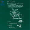 相宜本草山茶花焕活鲜养抗皱礼盒150mL+100g+50g+15g
