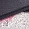 ins网红火烈鸟地垫丝圈入户垫入垫子pvc脚垫北欧地毯 40*60cm 黑白单词丝圈地垫
