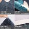 地垫浴室口吸水卫生间小地毯厕所防滑卧室家用脚垫垫_1 40*60cm 梦想小鸟植绒地垫