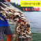 【优先发货】细丝餐鱼网粘网沉网浮网白条1指小鱼网1米高6分7分8分9分三层渔网_743 浮网三层1.3米高7分眼50米长