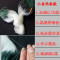 【优先发货】抓小白条鱼网粘网单层沉网浮网细丝6分7分1指1.5指丝网渔网 单层0.8米1指50米浮网