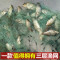 【优先发货】鱼网粘网三层渔网丝网挂网拦河工具渔具沾网粘鱼网网鱼网 6米4指100米三层沉网