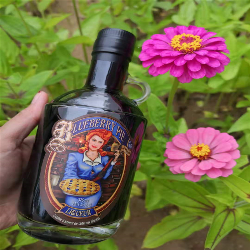 名物 加拿大·蓝莓利口酒25°375ml 优质Provincia伏特加色泽深沉蓝莓味道纯正 单瓶价 黑色