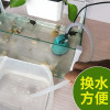 乌龟缸低水位过滤器抽水泵换水器过滤增氧循环四合一鱼缸过滤器_1 默认尺寸 U型盒大号+水泵