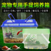 爬虫箱小龟缸塑料宠物饲养盒宠物窝水龟金鱼缸宠物运输盒手提盒_3 默认尺寸 新款大号养龟套餐