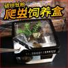 小号饲养箱塑料透明蝎子守宫蜥蜴养殖箱陆龟昆虫鸣虫饲养盒_1_223 默认尺寸 方形白盖套餐二