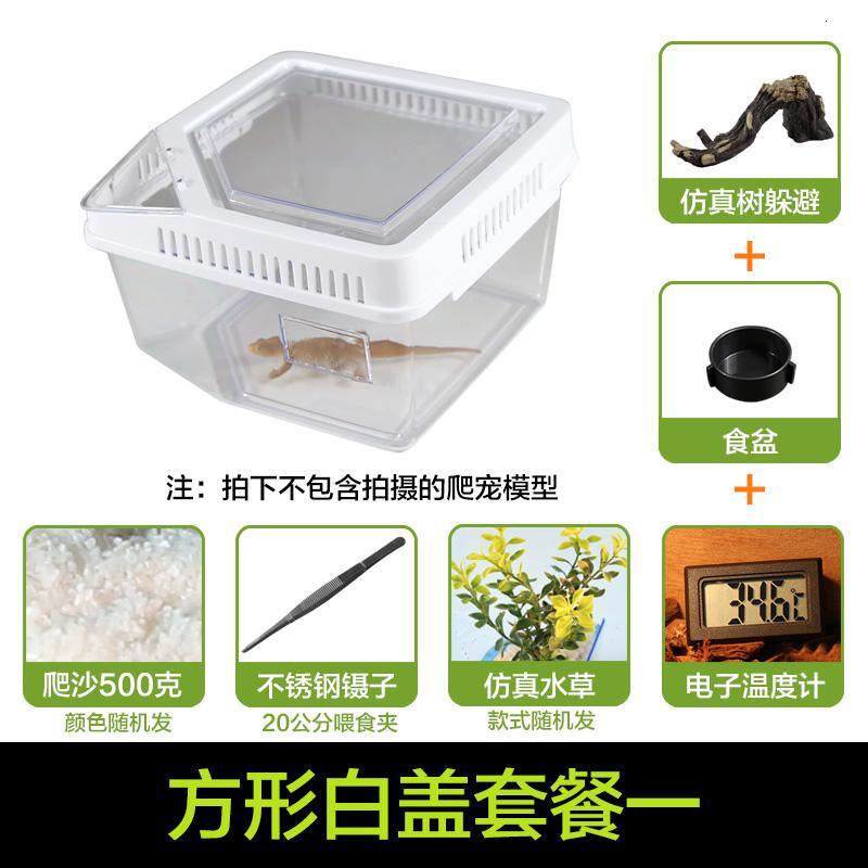 小号饲养箱塑料透明蝎子守宫蜥蜴养殖箱陆龟昆虫鸣虫饲养盒_1_223 默认尺寸 方形白盖套餐一
