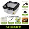 小号饲养箱塑料透明蝎子守宫蜥蜴养殖箱陆龟昆虫鸣虫饲养盒_1_223 默认尺寸 方形黑盖套餐一