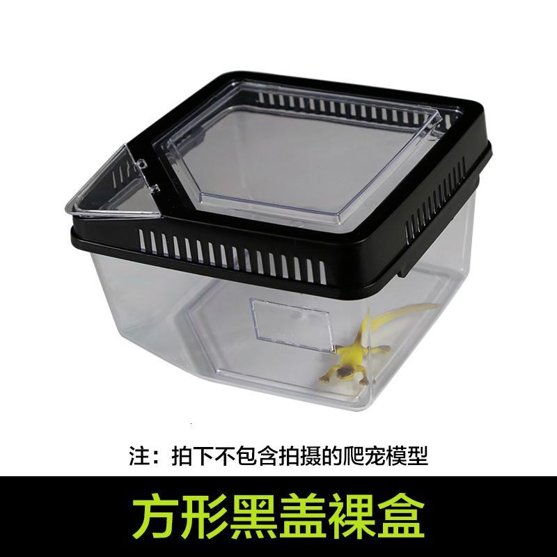 小号饲养箱塑料透明蝎子守宫蜥蜴养殖箱陆龟昆虫鸣虫饲养盒_1_223 默认尺寸 方形黑盖裸盒