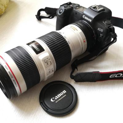 佳能（Canon）EOS R（RF24-105mm F4 L IS USM）数码相机全画幅专业微单套装 约3030万像素晒单图