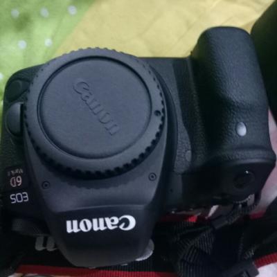 佳能（Canon）EOS 6D2 数码相机专业单反机身 全画幅CMOS 锂电池LP-E6N 约104万点晒单图
