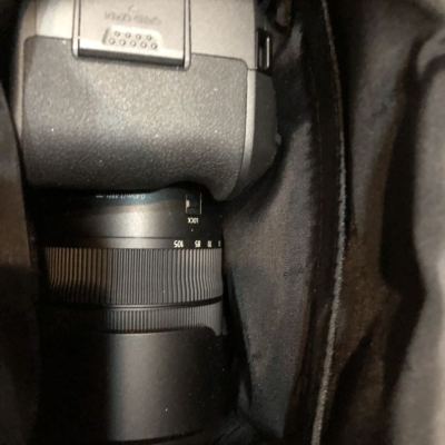 佳能（Canon）EOS R（RF24-105mm F4L IS USM）数码相机全画幅专业微单套装 约3030万像素晒单图