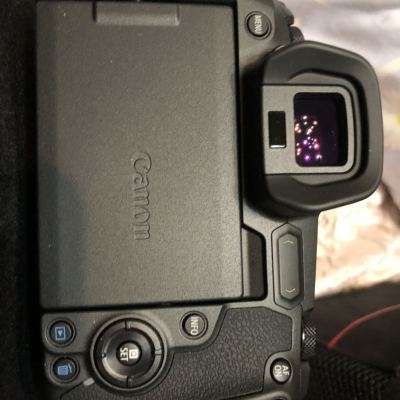 佳能（Canon）EOS R（RF24-105mm F4L IS USM）数码相机全画幅专业微单套装 约3030万像素晒单图