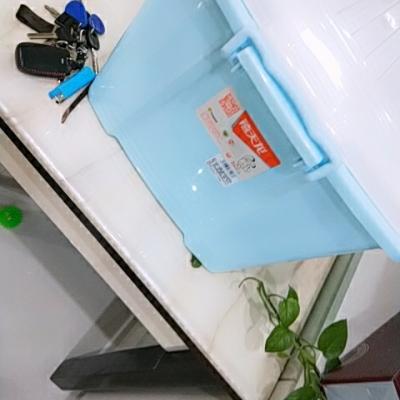 禧天龙citylong 52L收纳箱塑料大号有盖衣服储蓄储物玩具整理箱子 蓝色晒单图