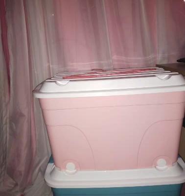 禧天龙citylong52L收纳箱塑料特大号箱子衣服书箱玩具有盖透明儿童储蓄箱整理箱 粉色晒单图