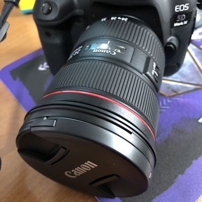 佳能（Canon） EF 24-70mm f/2.8L II USM 标准变焦镜头大三元 82mm滤镜佳能卡口 远摄变焦晒单图