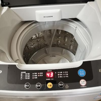 三洋（SANYO） WT8455M0S 8公斤全自动波轮洗衣机 原厂电机 非变频 24h预约 甩干脱水（亮灰色）晒单图