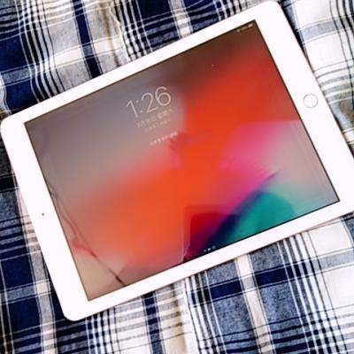 2018款 Apple iPad 9.7英寸 128GB WIFI版 平板电脑 MRJP2CH/A 金色晒单图