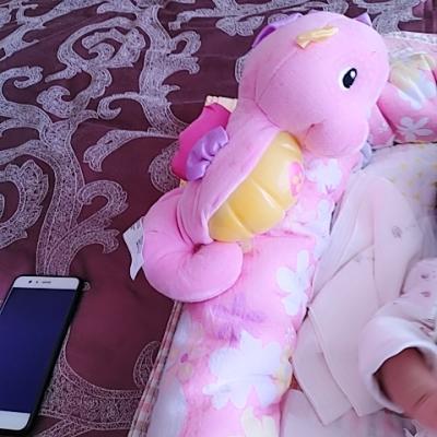 费雪-声光安抚海马-粉色0-6个月毛绒公仔婴幼玩具晒单图