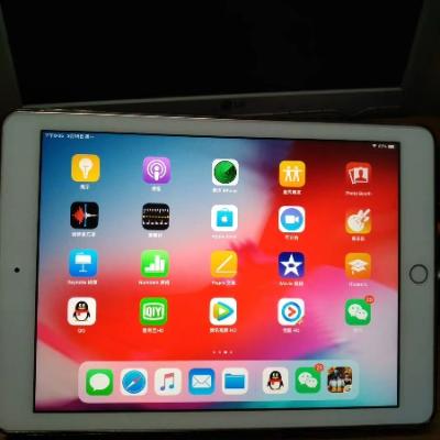 2018款 Apple iPad 9.7英寸 32GB WIFI版 平板电脑 MRJN2CH/A 金色晒单图