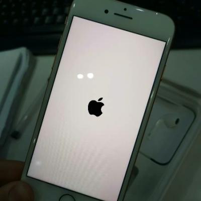 Apple iPhone 8 64GB 金色 移动联通电信4G全网通手机晒单图