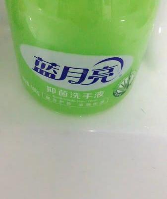 蓝月亮 芦荟抑菌洗手液 500g/瓶晒单图