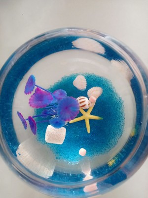 圆形鱼缸玻璃小号水族世界金鱼缸迷你创意水族箱法耐FANAI淡水缸 小号鱼缸 鱼缸晒单图