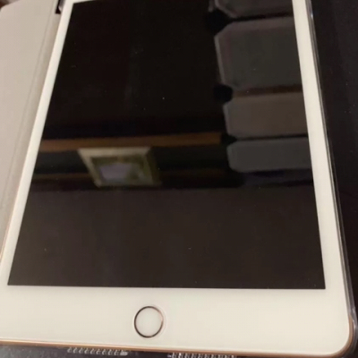 2019款 Apple iPad mini5 7.9英寸 平板电脑（64GB WLAN版 MUQY2CH/A 金色）晒单图