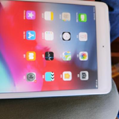 2019款 Apple iPad mini5 7.9英寸 平板电脑（64GB WLAN版 MUQX2CH/A 银色）晒单图