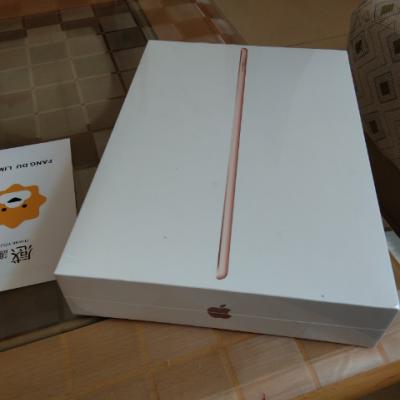 2019款 Apple iPad Air 10.5英寸 苹果 平板电脑 金色 （六十四）GB内存 WiFi版晒单图