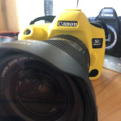 佳能（Canon）EOS 5D4 机身 数码相机单反 专业全画幅双核CMOS 电池LP-E6 监视器点数 3040万像素晒单图