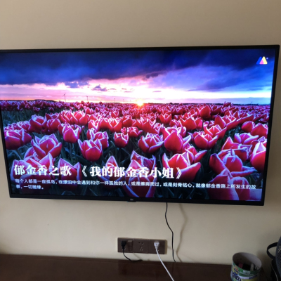 小米（MI）电视4A标准版 L55M5-AZ/L55M5-AD 55英寸 4K超高清 HDR 人工智能液晶网络平板电视晒单图