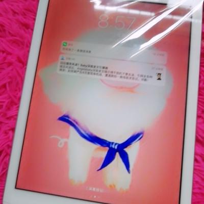 MR7K2CH/A 9.7英寸iPad 128G Wifi版 银色晒单图