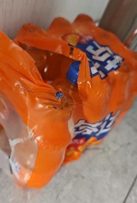 芬达橙味碳酸饮料汽水饮品PET300ml*12瓶可口可乐出品迷晒单图