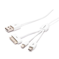 品胜 USB 多功能数据充电线（三合一）