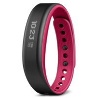 GARMIN 运动健康监测手环 vivosmart（紫色小号）