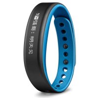 GARMIN 运动健康监测手环 vivosmart（ 蓝色大号 ）