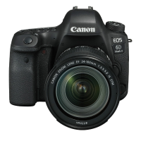 佳能(canon)相机套餐( 5DS *1+EF17-40mmf/4L*1+SD卡*2+电池*1+包*1+UV*1）