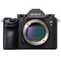 索尼（SONY）ILCE A9（24-105mm F4）数码微单相机 单镜头套装 约2420万像素