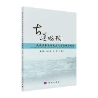 古道明珠凤庆县鲁史历史文化名镇保护规划