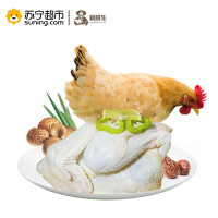 雉鲜生(Free Range Chicken) 农家散养鸡 土鸡 走地鸡 1KG/只 玥子鸡 1只装 滋补珍品