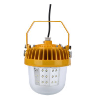 鼎晟丰（DSF）DSFF-910LED防爆平台灯 黄色
