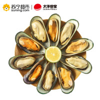 大洋世家(oceanfamily) 速冻新西兰青口贝M 450g/盒装 10-20只 海鲜 贝壳