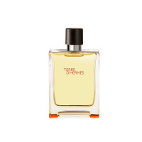 HERMES 爱马仕大地男士香水 100ml