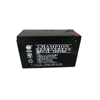 志成冠军 充电电池 12V/7AH NP7-12（单位个）