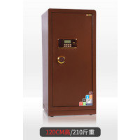 三能 (SAN NENG)办公大型保险箱 保险柜 大型单门双门 其他金属家用办公柜类 120#单门土豪金