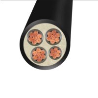 铜芯电缆 3*150²+1*70²电缆 铜芯线CCSM 电线电缆[价格为每米单价,起订量100米] 黑色（厂标） 100米/卷