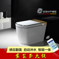 N8601一体智能坐便器自动冲水智能座便器智能马桶坑距400mm+按键其他/other 等通知坑距发货+按键 默认尺寸