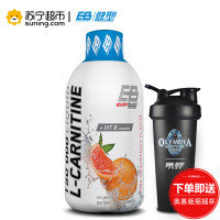 EVERBUILD零致左旋肉碱运动饮料（橙子味）500毫升